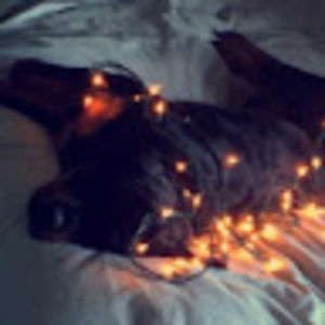 Meet your Posher, Cadance